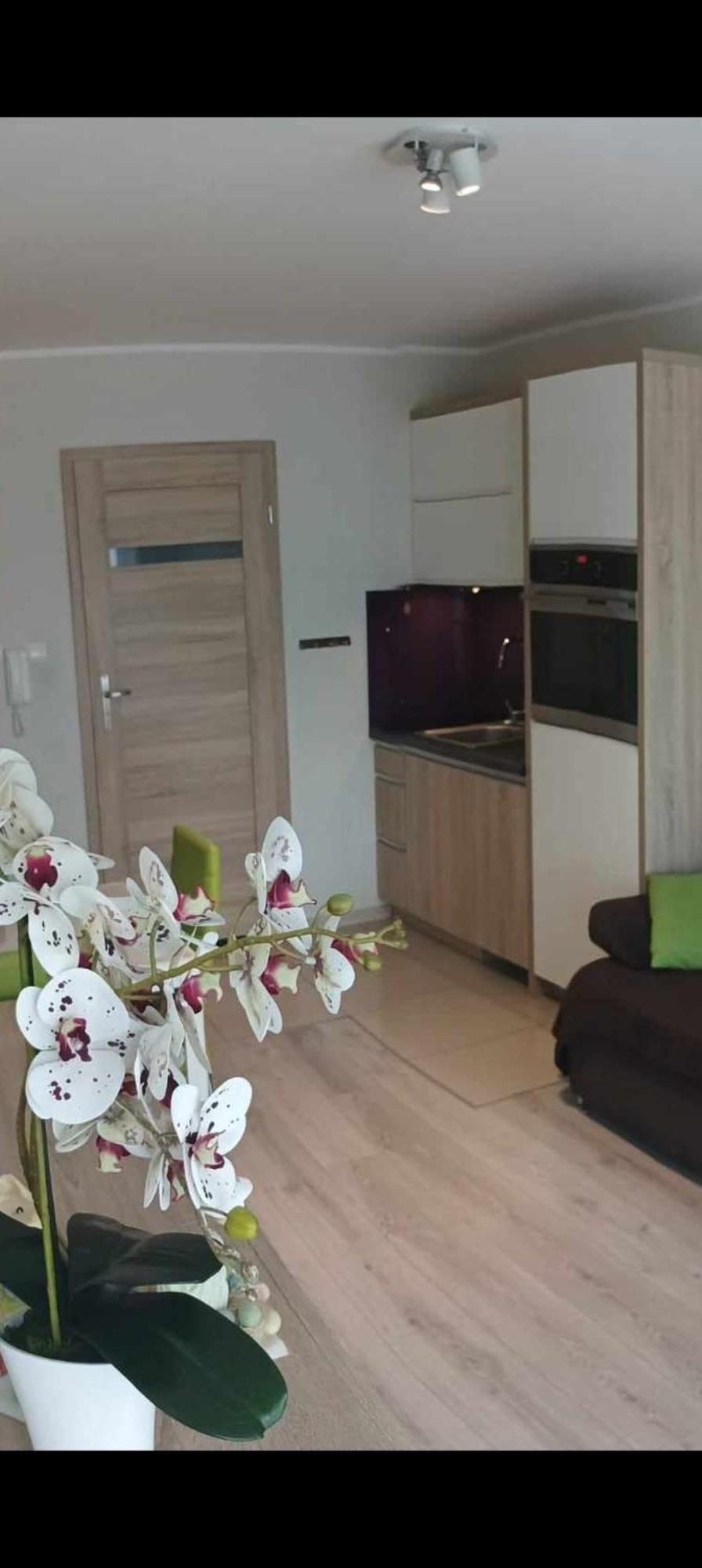Apartament Zielona Wydma Łeba Exterior foto